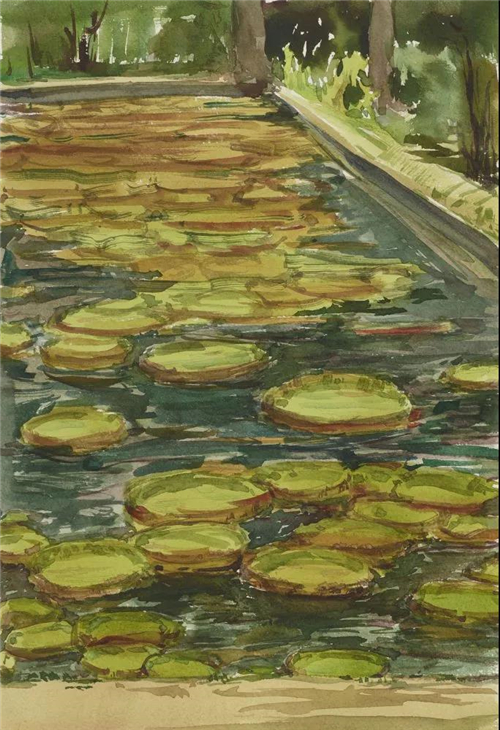沙永汇 毛里求斯写生之二 37cm×25cm