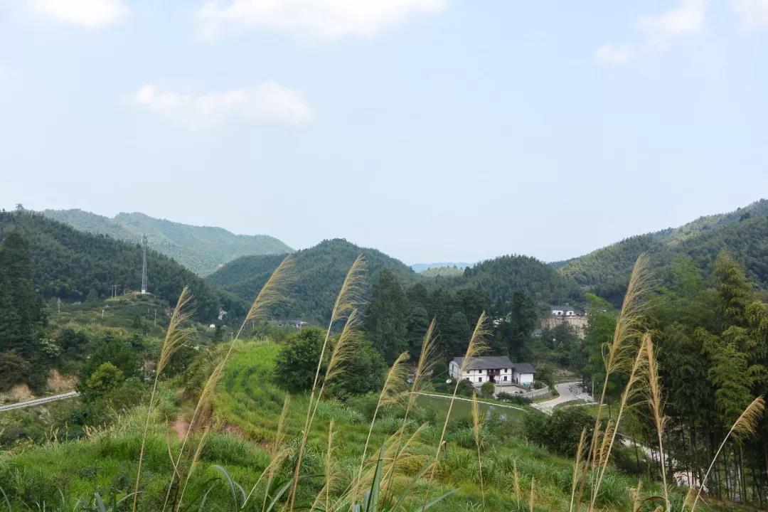 江西井冈山市茅坪乡神山村——中国国家画院《扶贫颂》写生采风项目