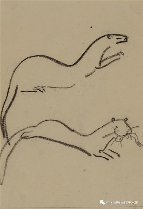 《水獭》  1943年 印度  纸本、铅笔  10cmx15cm 2012年入藏