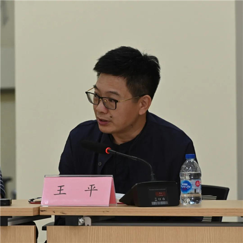 王平发言