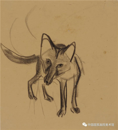 《狐狸》 约20世纪40—50年代 纸本、炭笔  12cmx14cm 2012年入藏