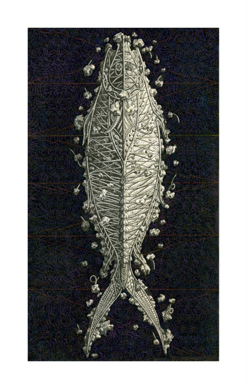 陈龙《生之灵·鱼》宽18cmx高40cm  木板、亚克力透明塑胶 2010年