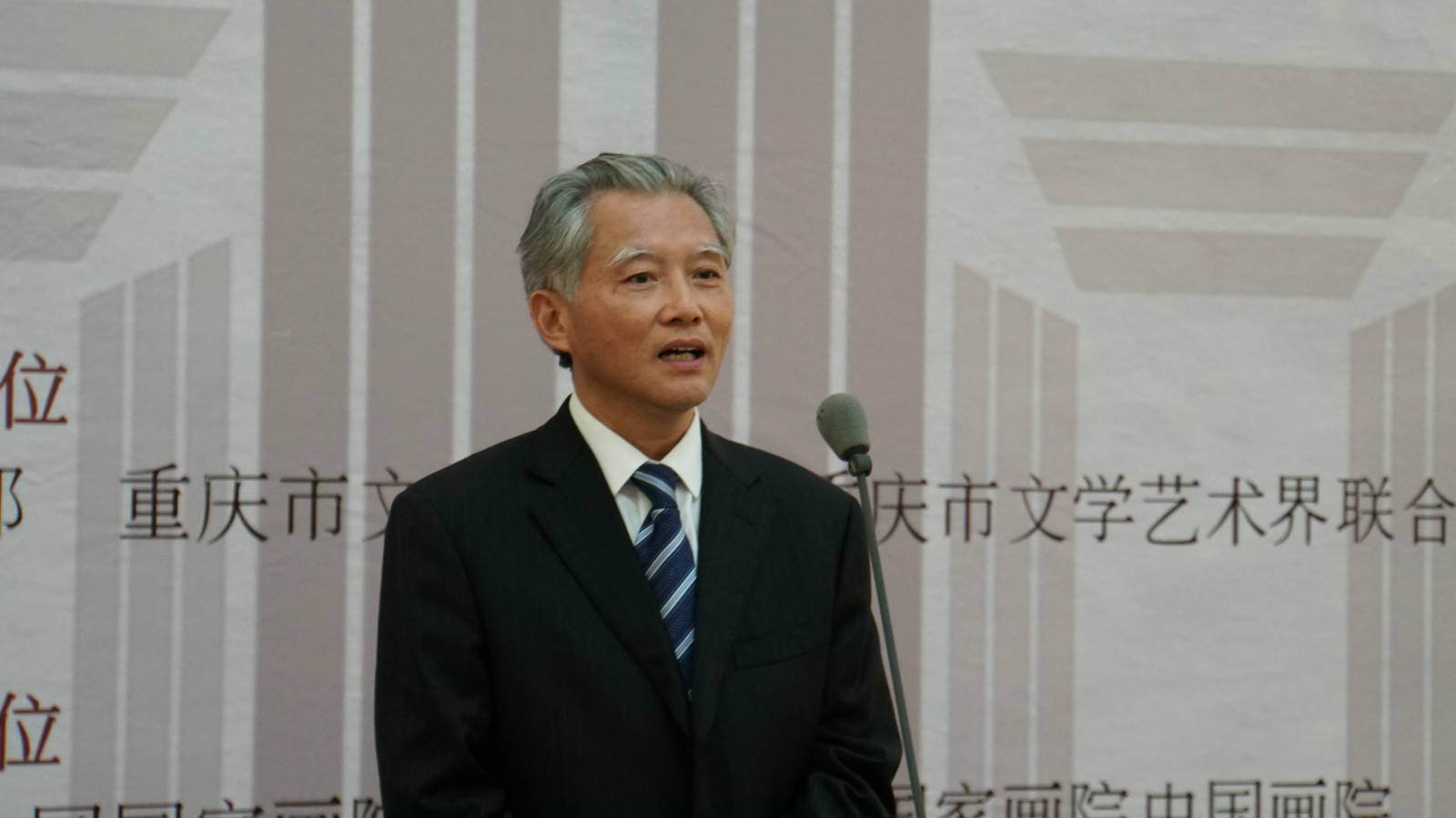 重庆市文学艺术界党组书记、副主席陈若愚致辞