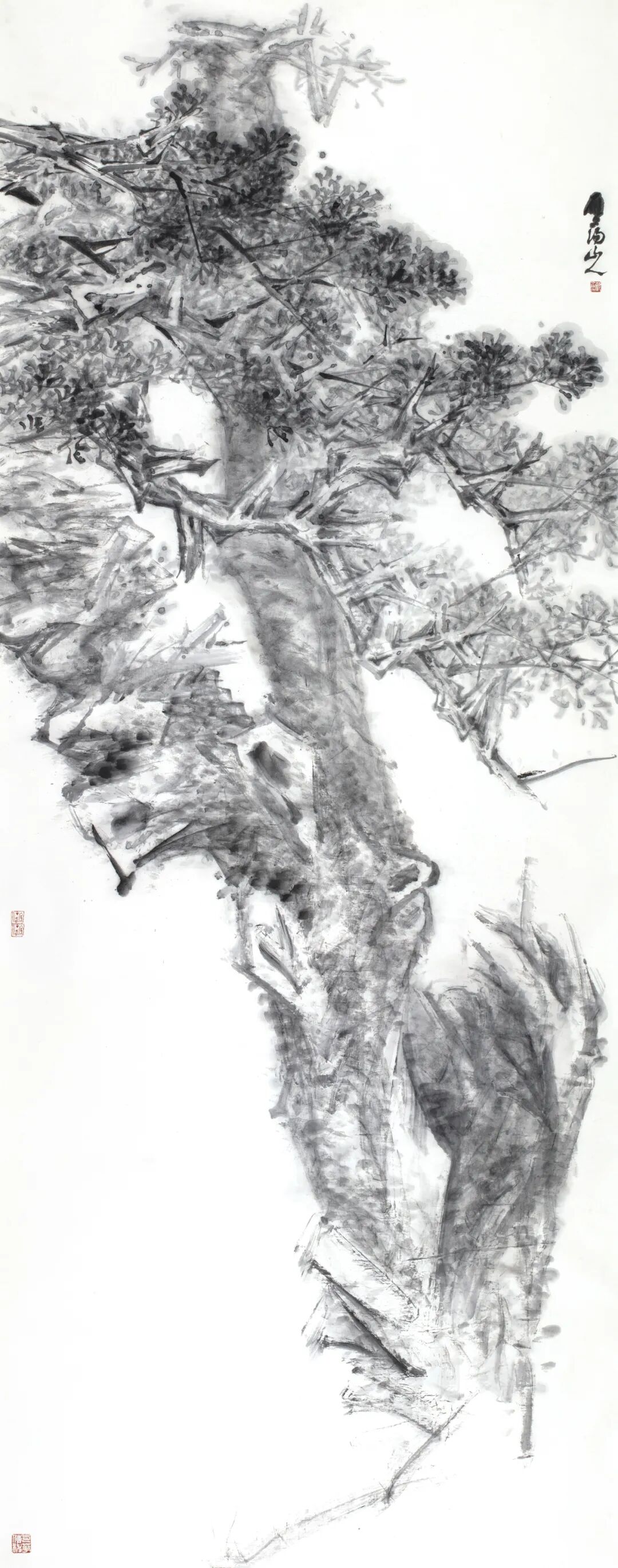 /wximport/uploadcnap/upload/20260616/a153a991c6542587918a102181d180c1